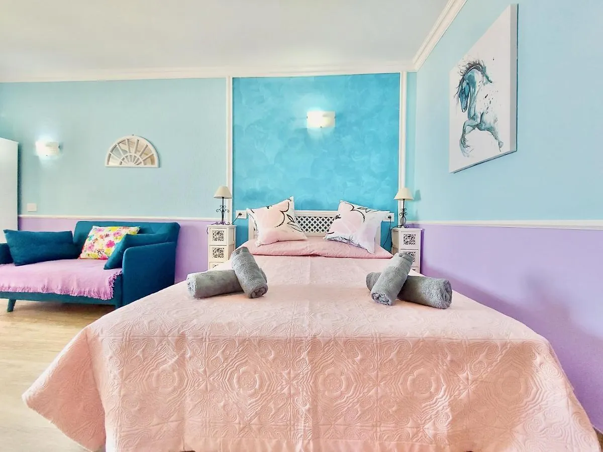 Ocean And Sky Studio Apartment Puerto de la Cruz